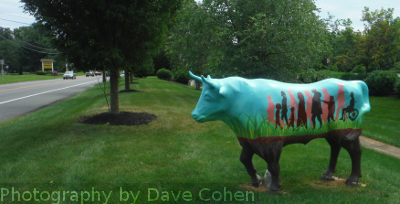 cow bull steer