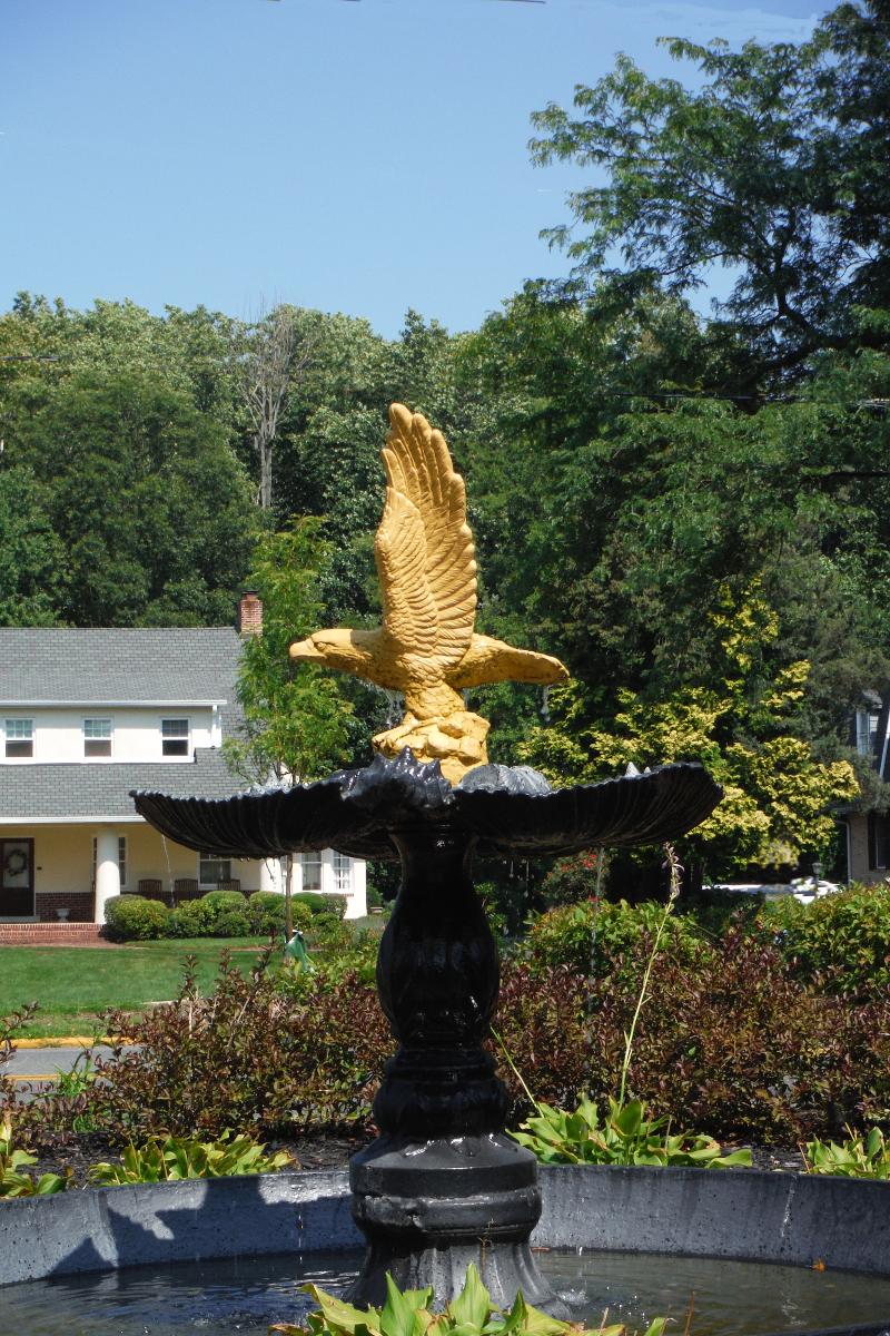 Haddonfield Eagle at Public Library 